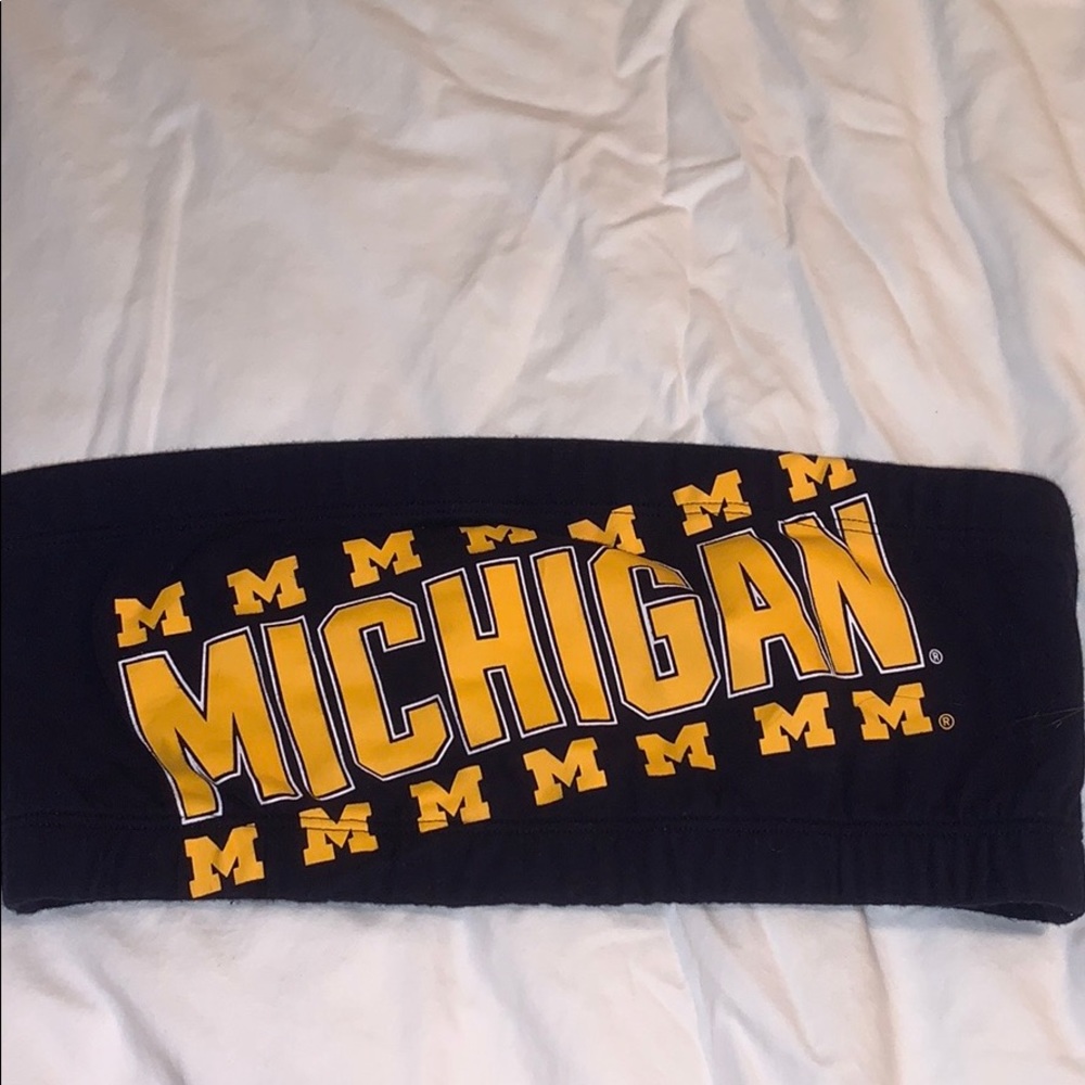 PINK Michigan bandeau tube top